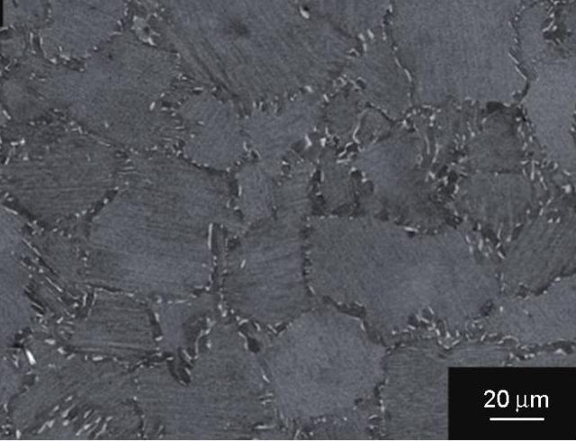 金屬間化合物觀察與測量 金屬間化合物觀察與測量